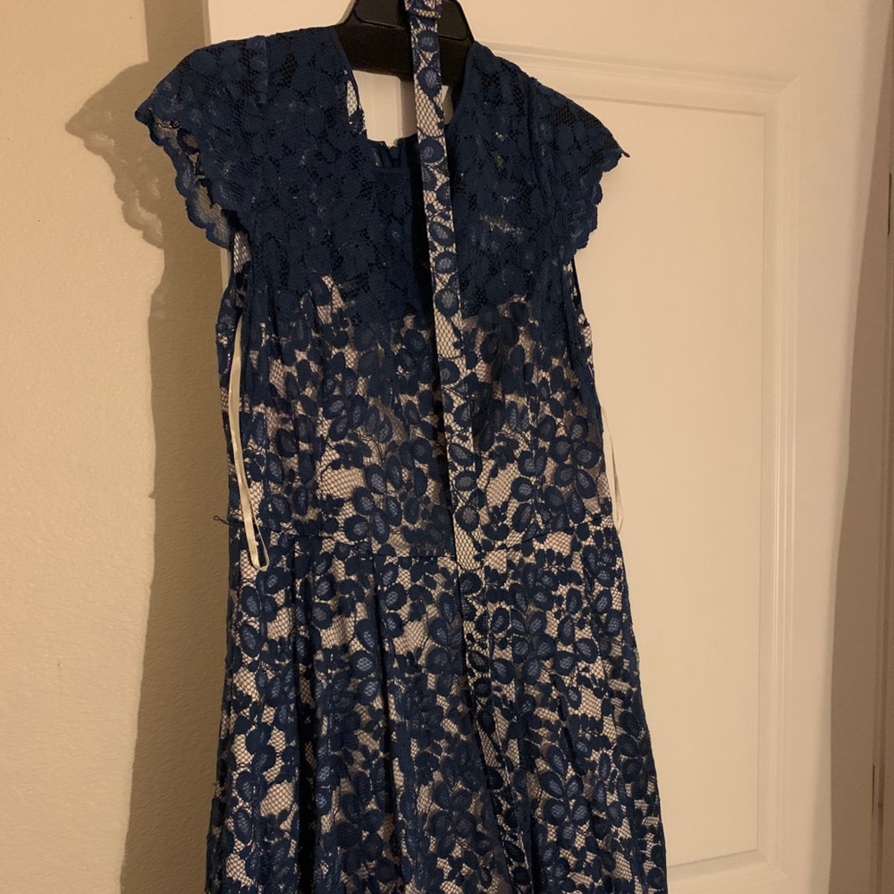 Blue Lace Illusion Cap Sleeve Flare Dress